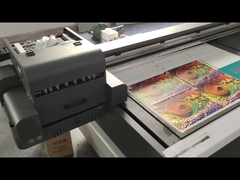 Número de produção 4