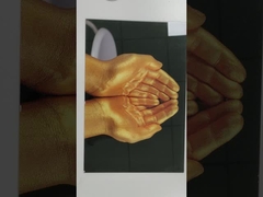 Número de produção 6