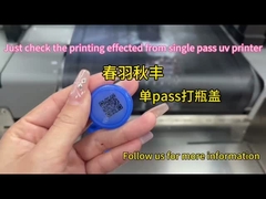 Indústria Impressora UV de passagem única Impressora de grande formato Impermeável