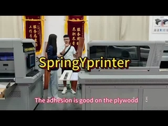 Nozzle Rich G5/G6 com impressora UV de luz LED