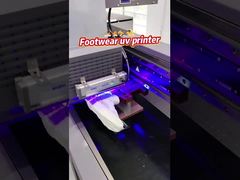 Impressora UV de passagem única AC 220V/50Hz/60Hz com bico Ricoh Gen 5i